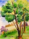 aquarelle (8).jpg